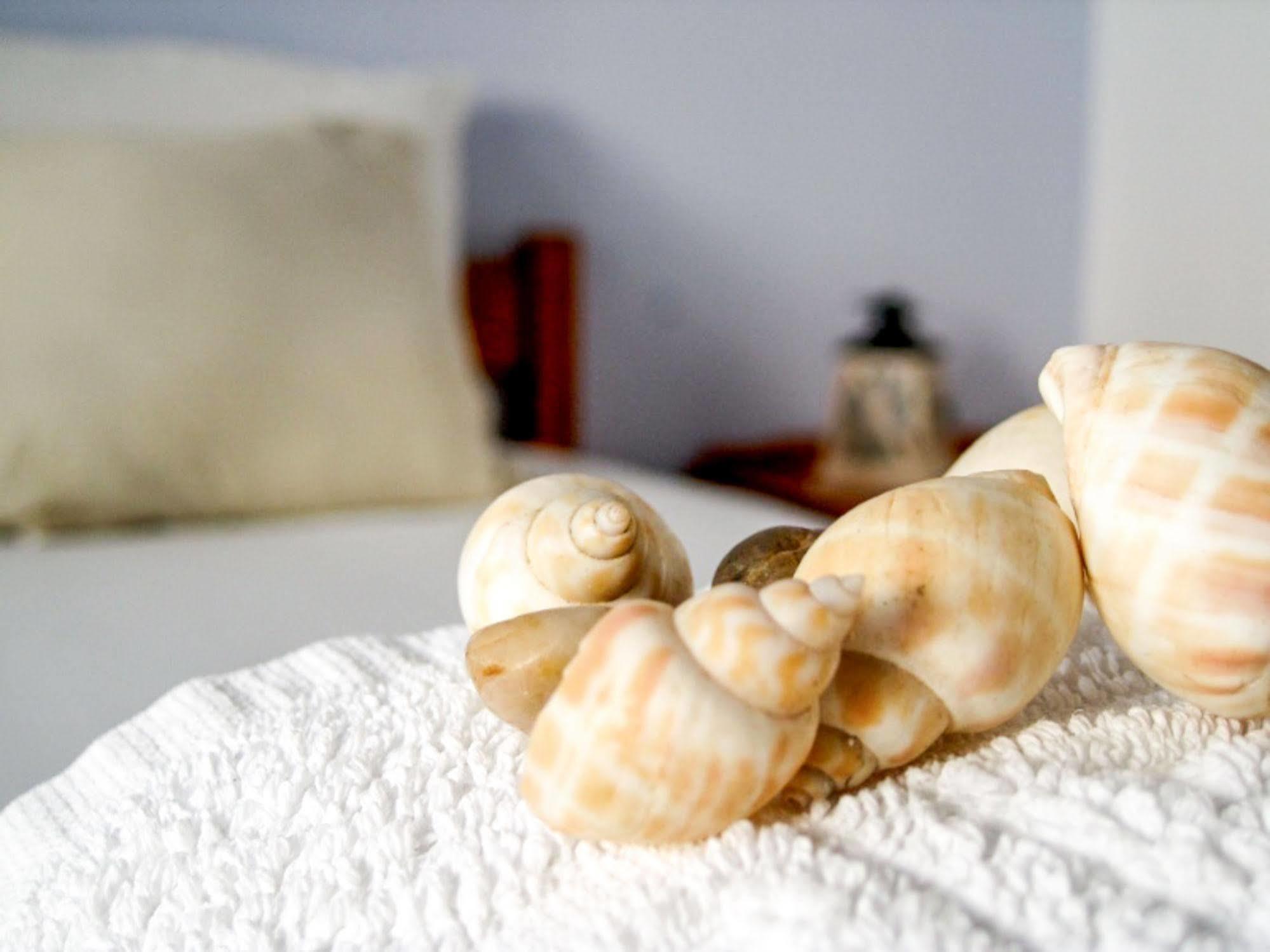 Drakos Twins Aparthotel Mylopotas Ngoại thất bức ảnh